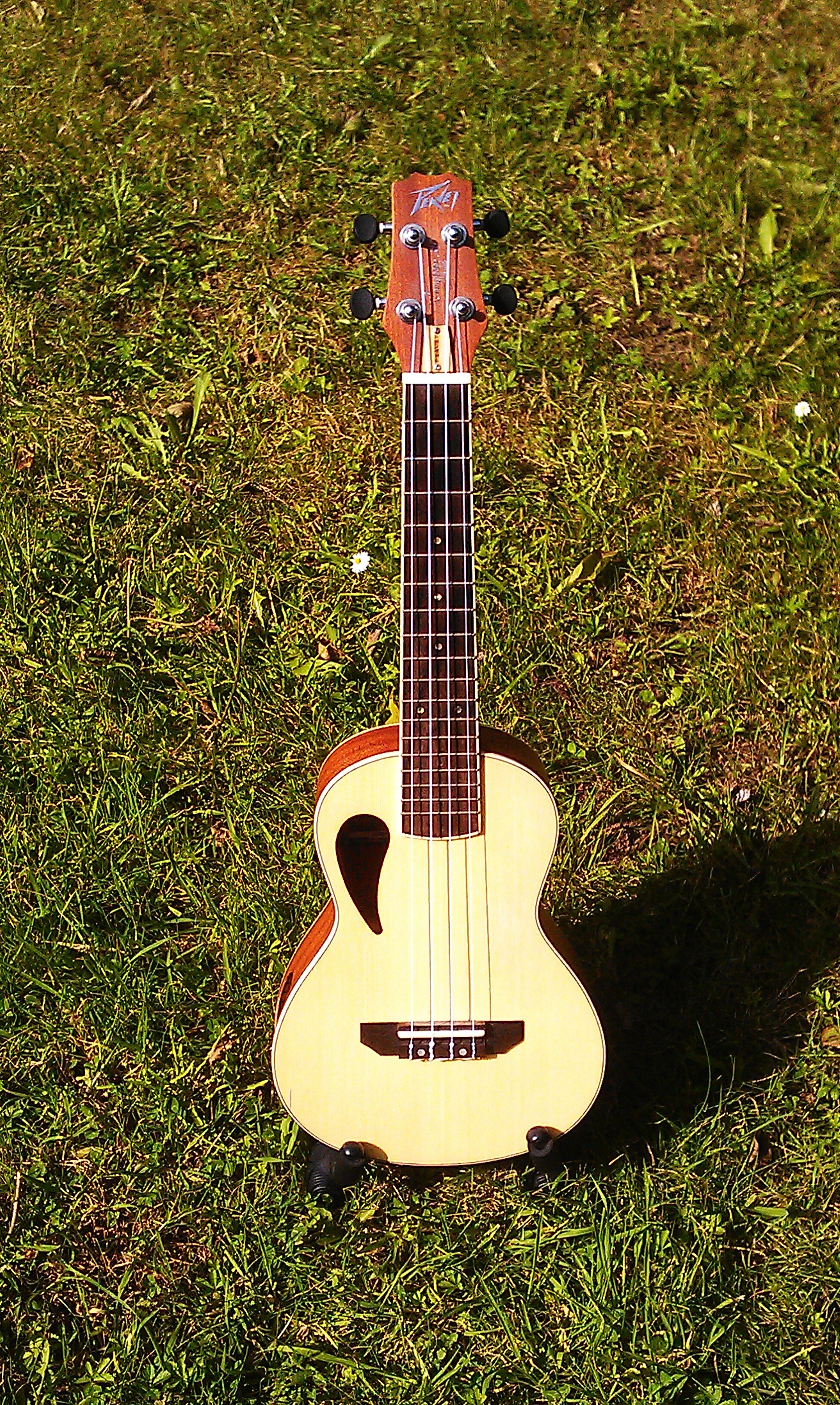 Peavey Composer concert ukulele